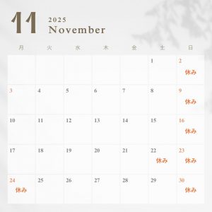 11月休業日